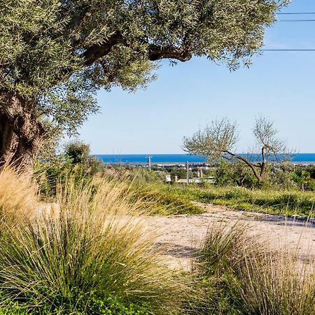 Quinta Da Baleeira Villa Tavira Exteriör bild