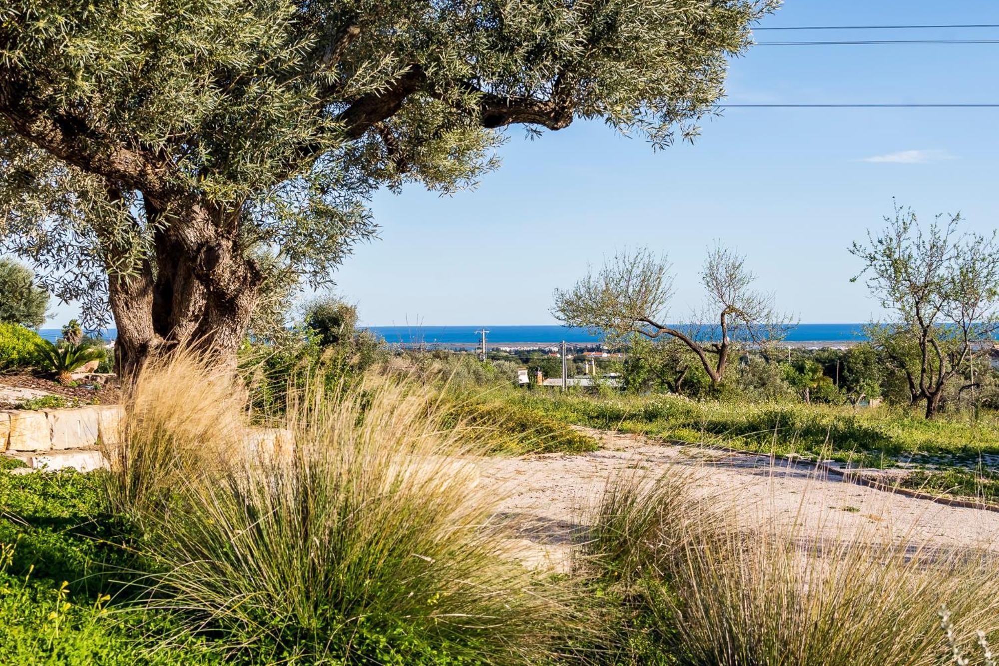 Quinta Da Baleeira Villa Tavira Exteriör bild